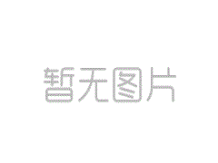 圓弧齒輪泵性能參數