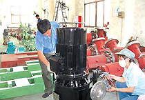 06.jpg
